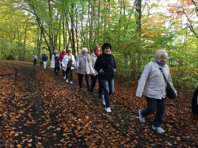 2017 - Kolorowe Kaszuby