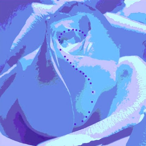 1010 Logotyp z różą