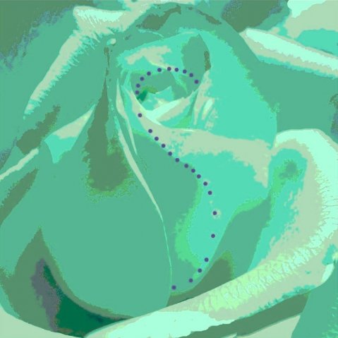 1010 Logotyp z różą