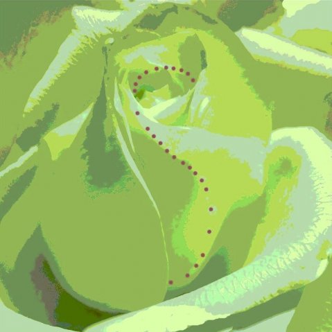 1010 Logotyp z różą